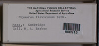 Image Associated With the Occurence